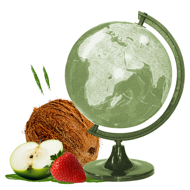 Apfel, Erdbeere und Kokosnüsse neben einem Globus